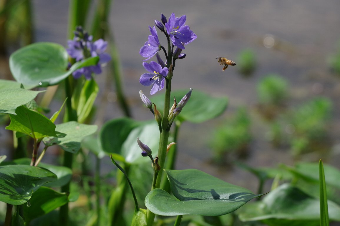 �~�Y�A�I�C