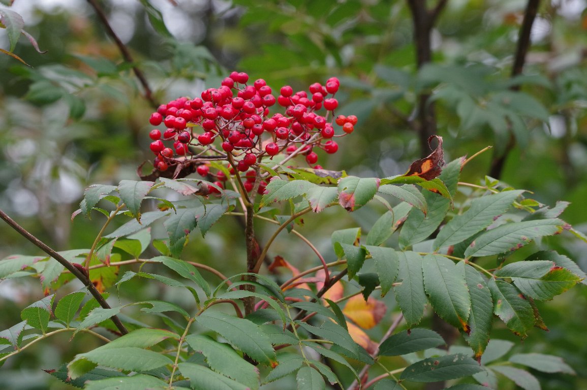 �i�i�J�}�h