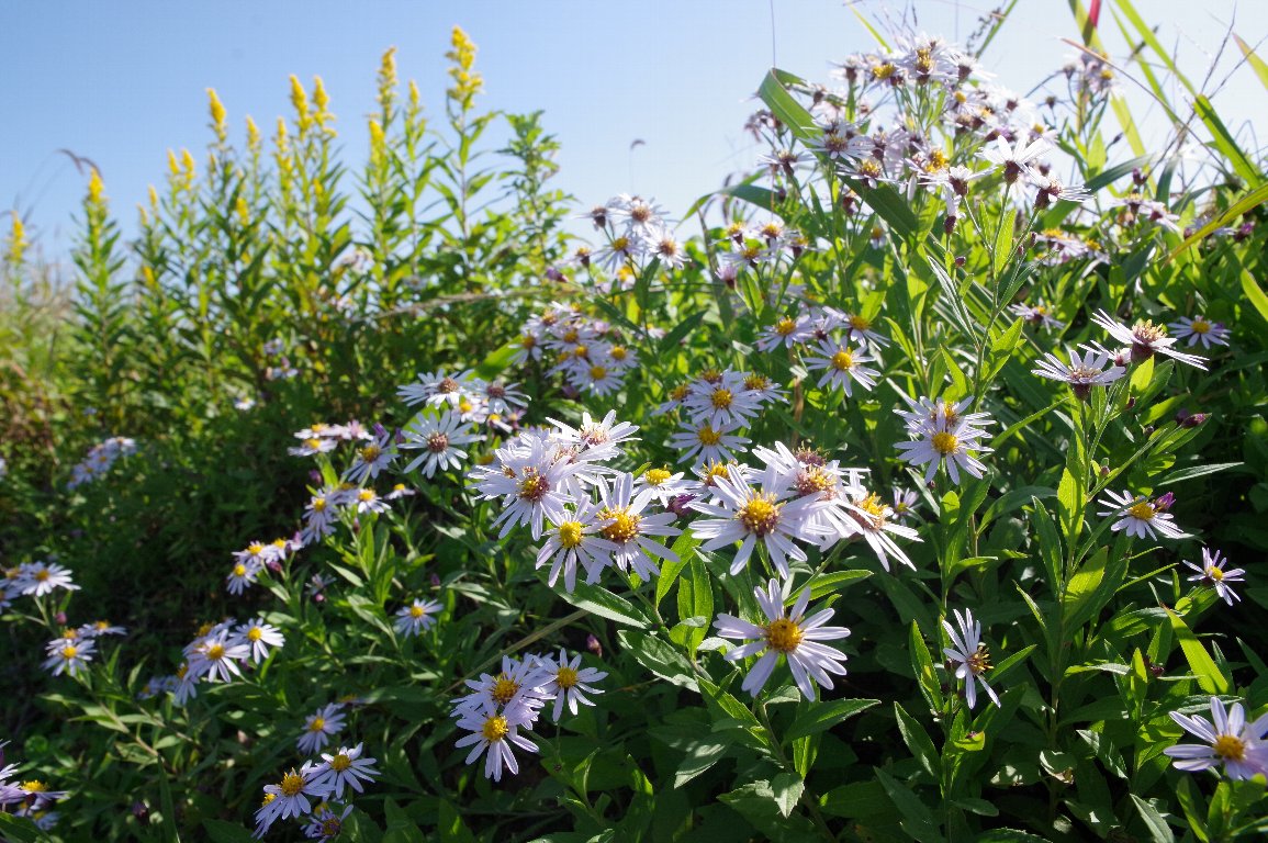 �m�R���M�N