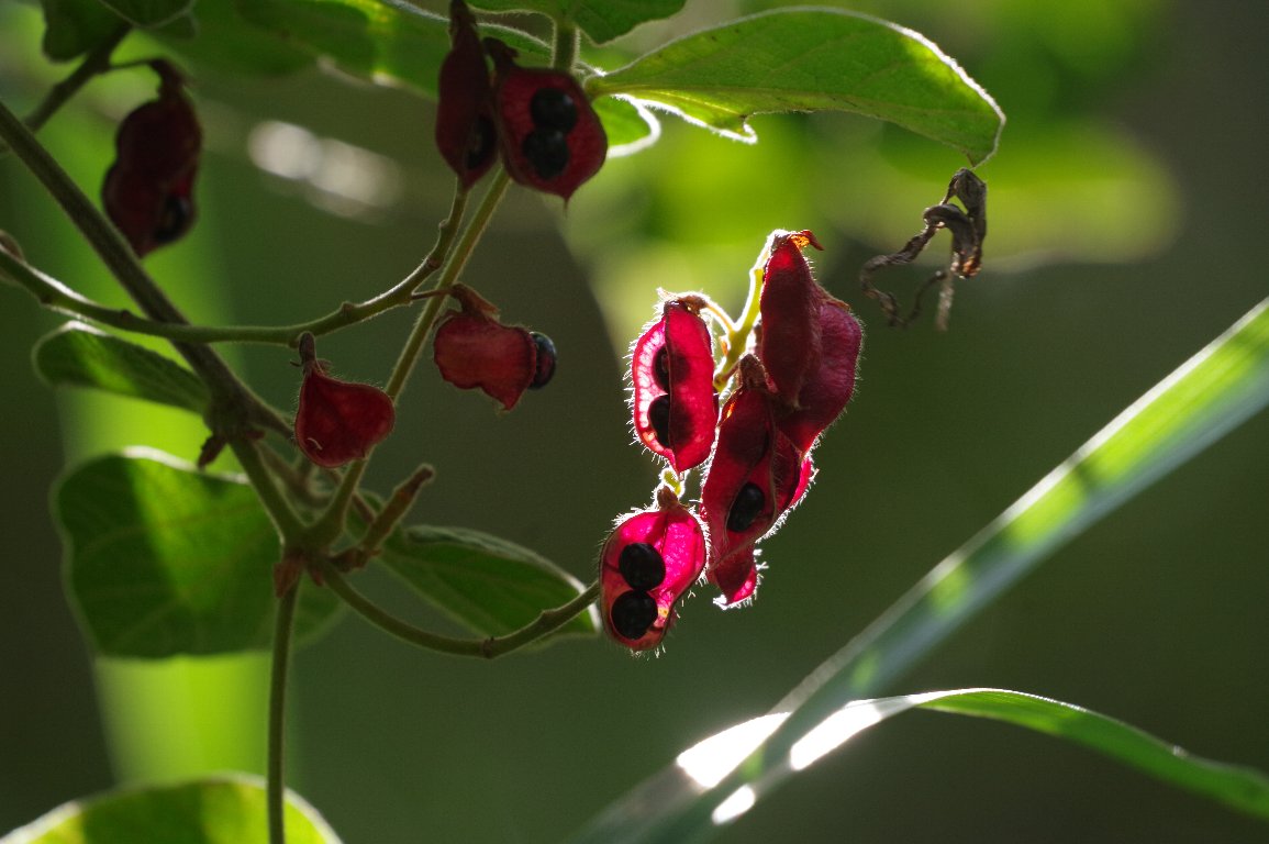 �^���L���}��