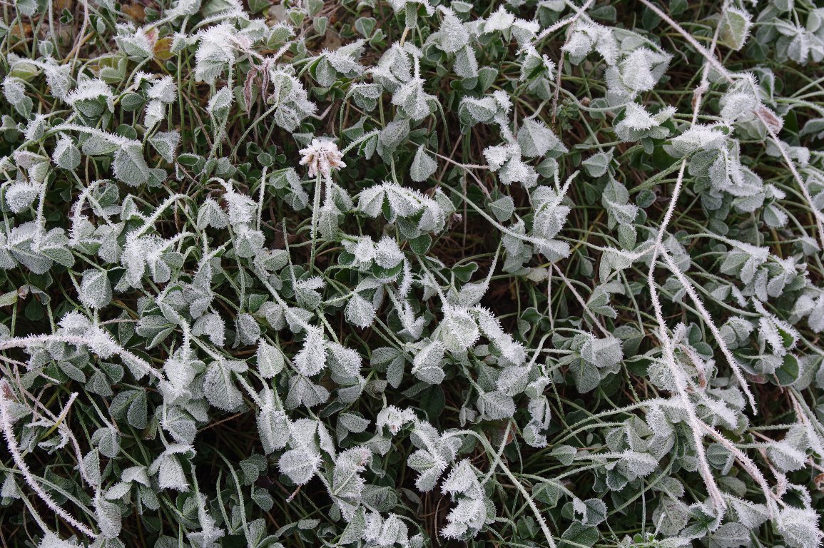 �V���c���N�T