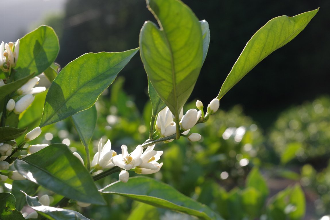 �E���V���E�~�J��