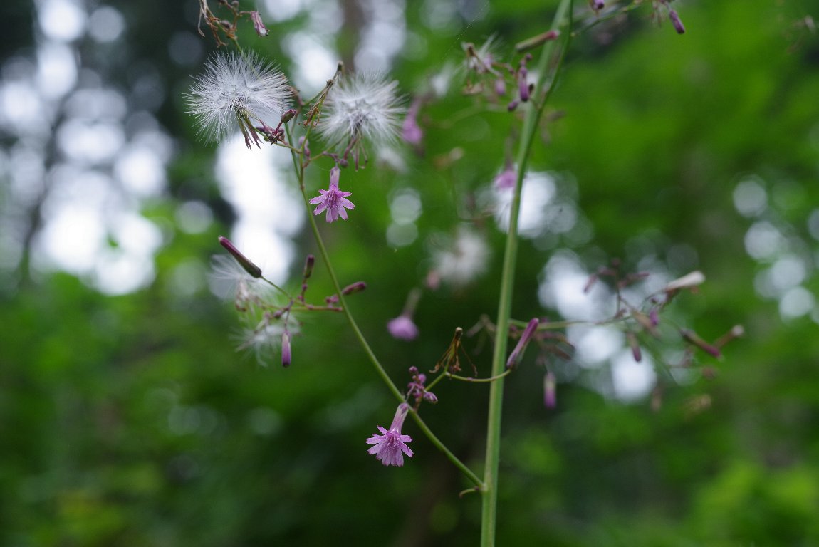 �����T�L�j�K�i