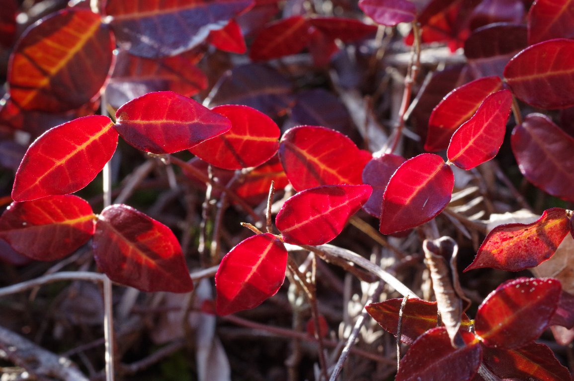 �e�C�J�J�Y��