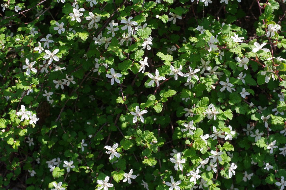 �j�K�C�`�S