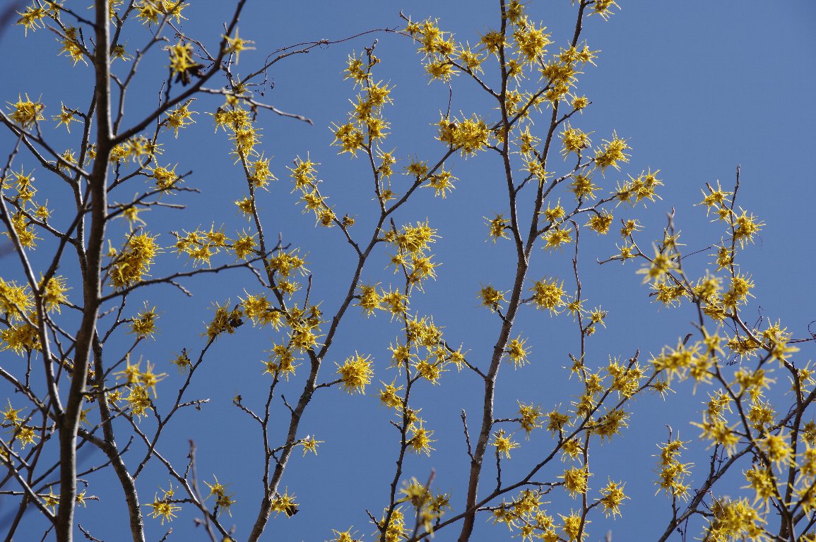 �A�e�c�}���T�N