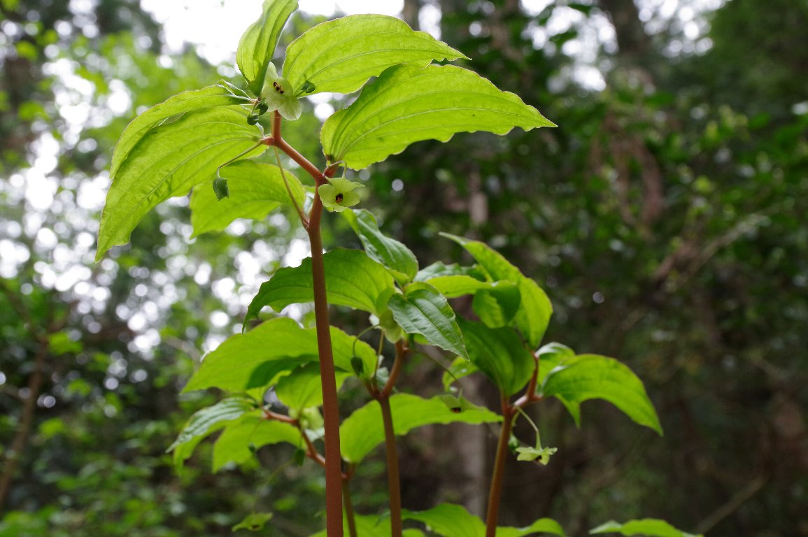 �i�x����