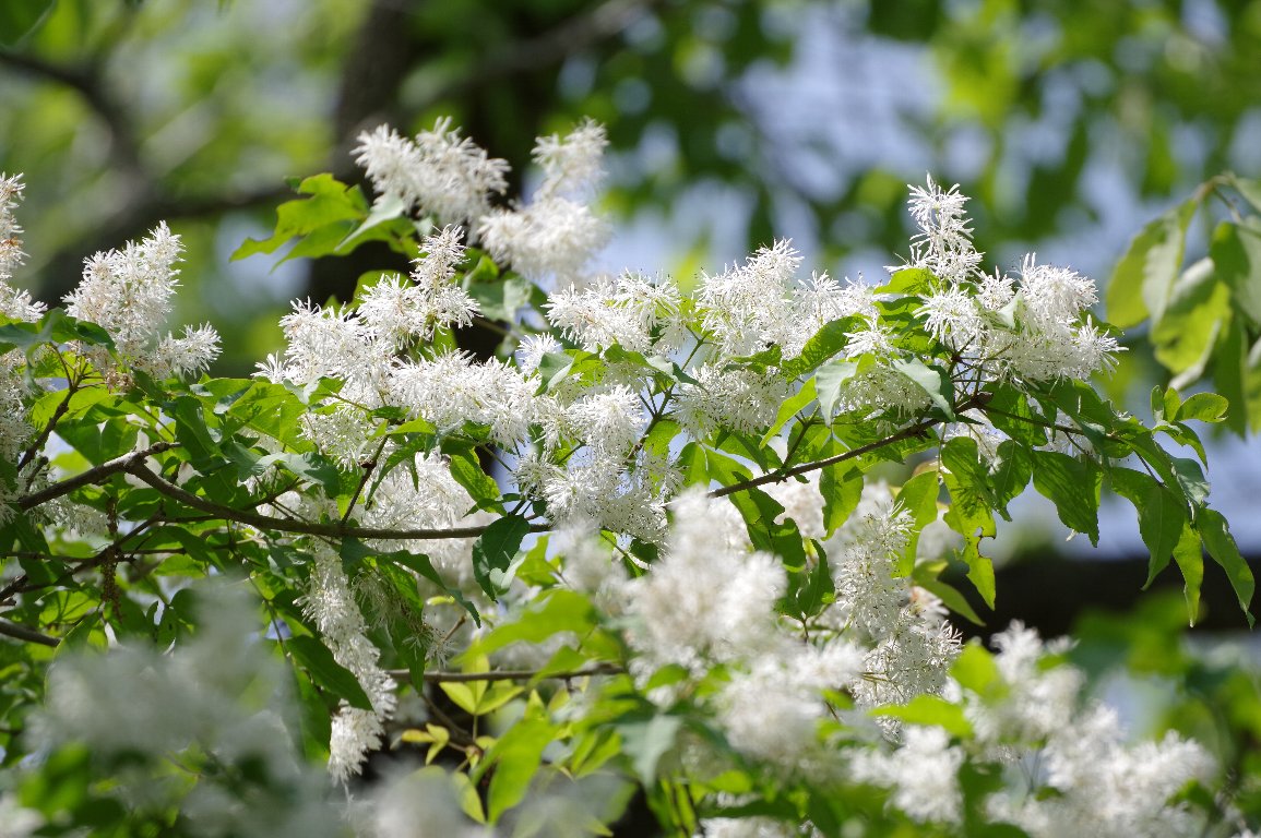 �}���o�A�I�_��