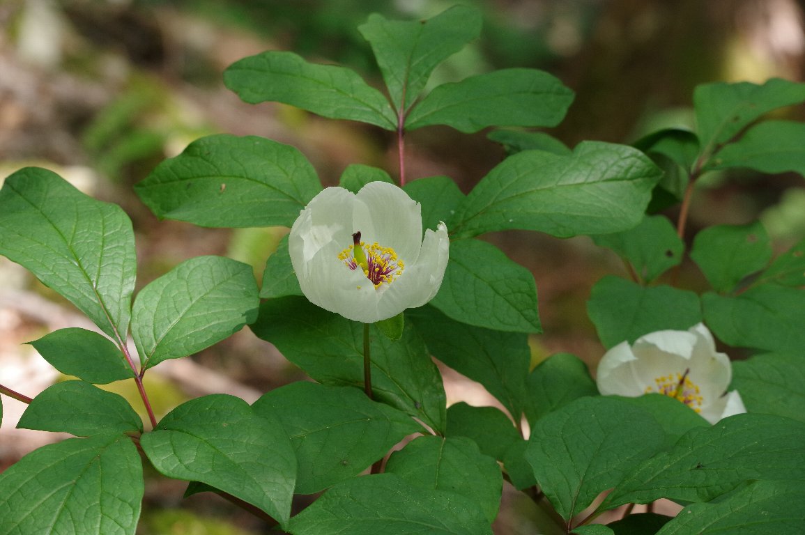 ���}�V���N���N