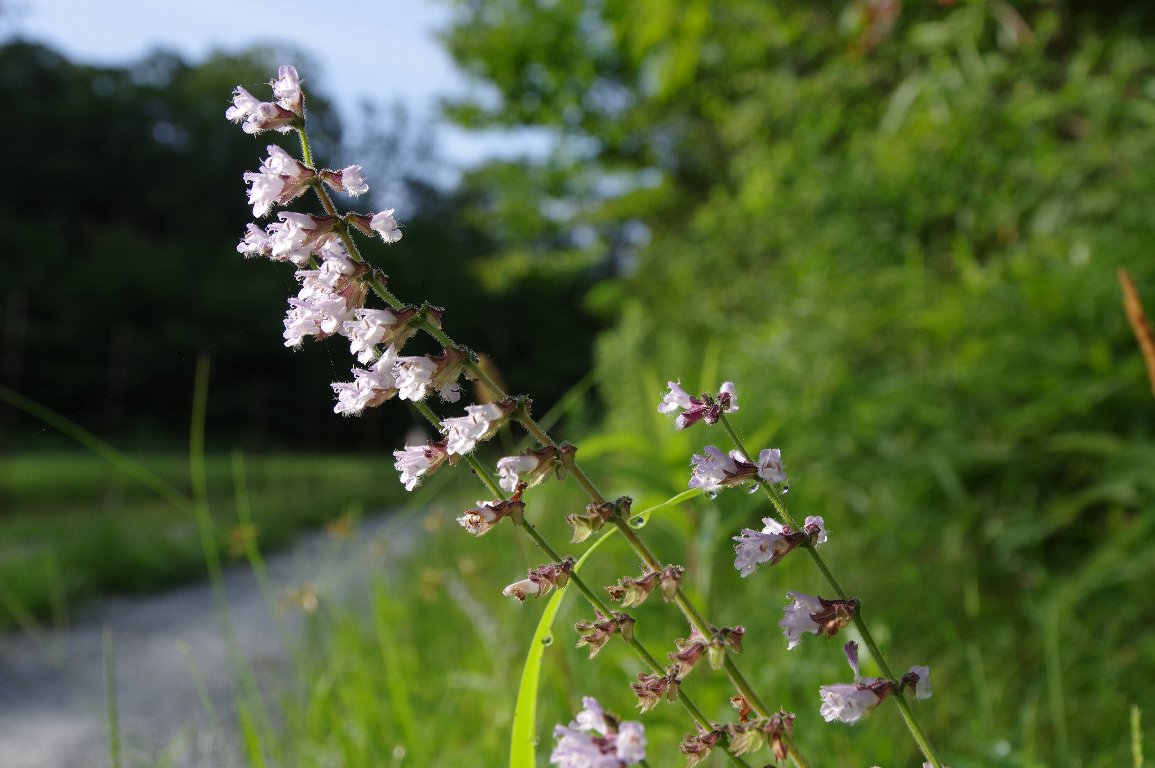 �A�L�m�^�����\�E