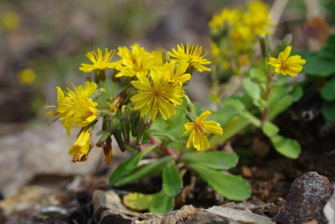 �A�[�g�E�i