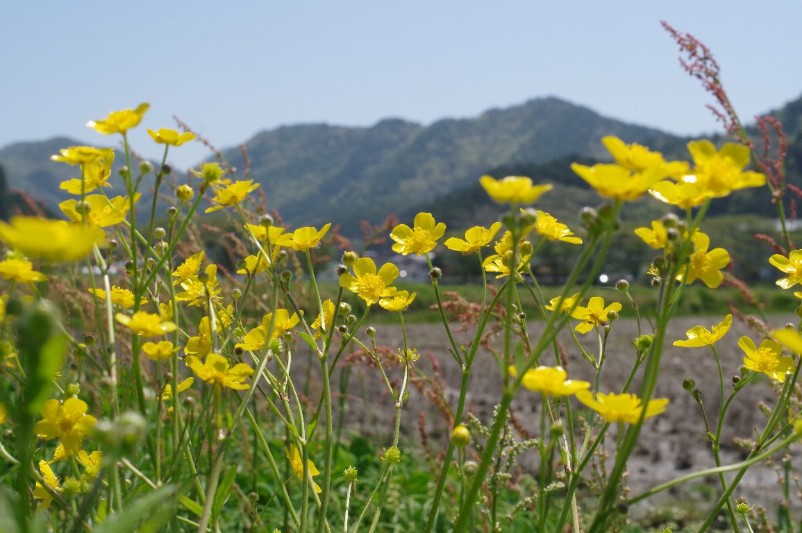 �E�}�m�A�V�K�^