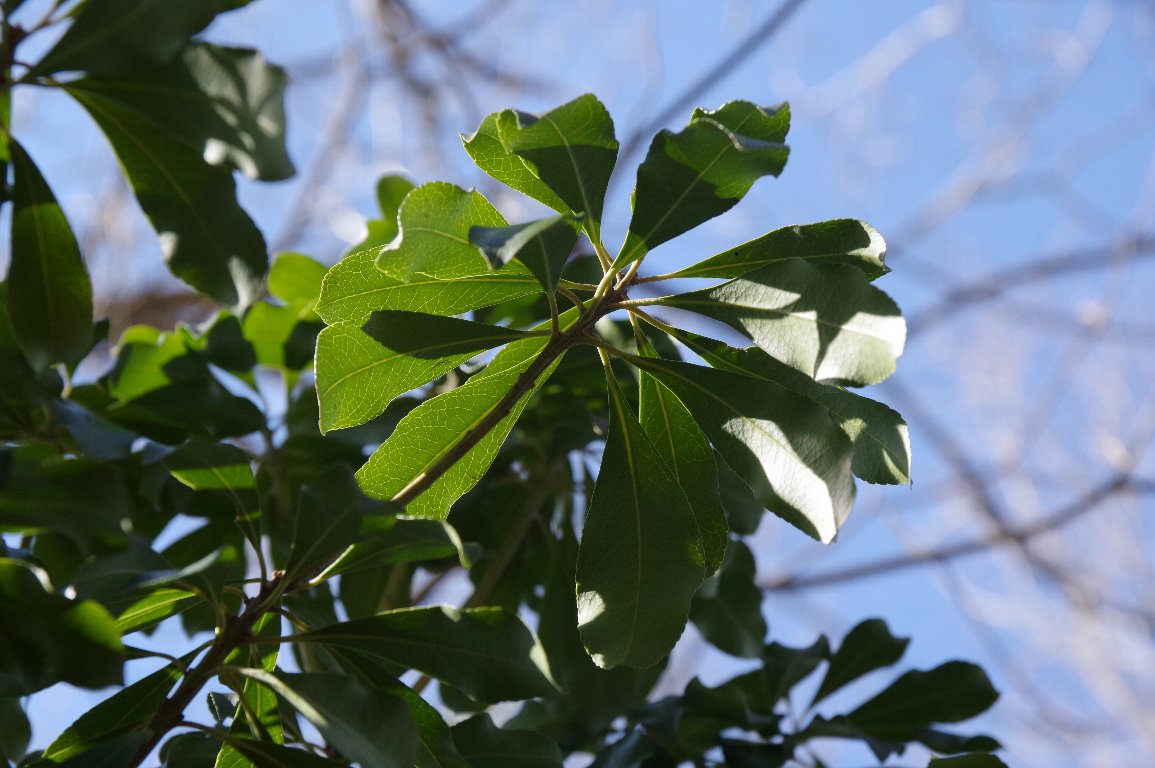 ���}����