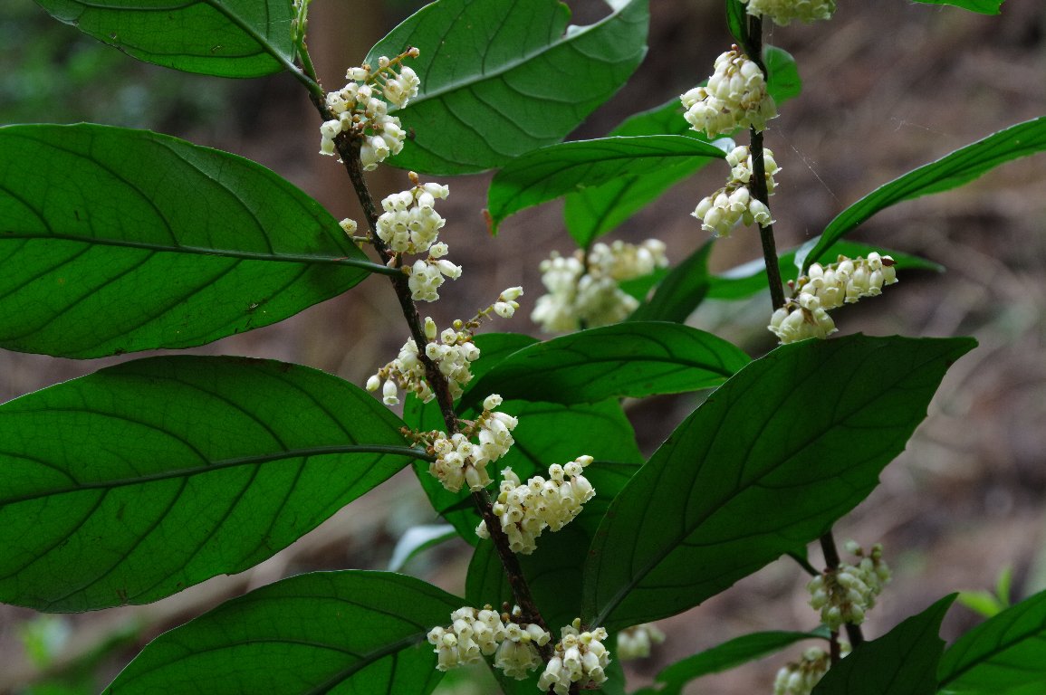 �C�Y�Z�������E