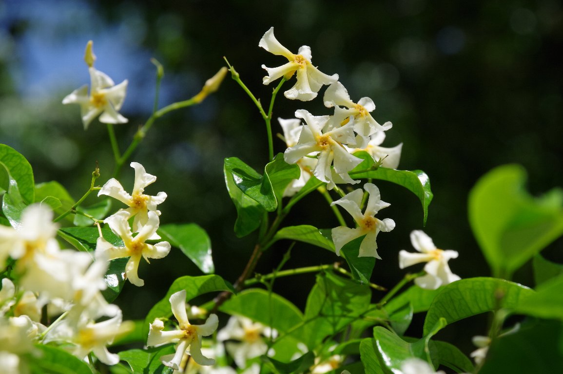 �e�C�J�J�Y��