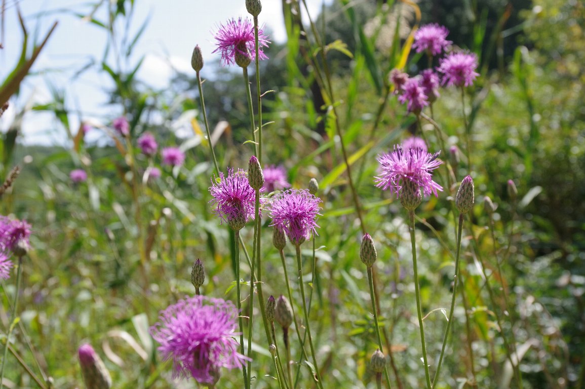 �^�����\�E