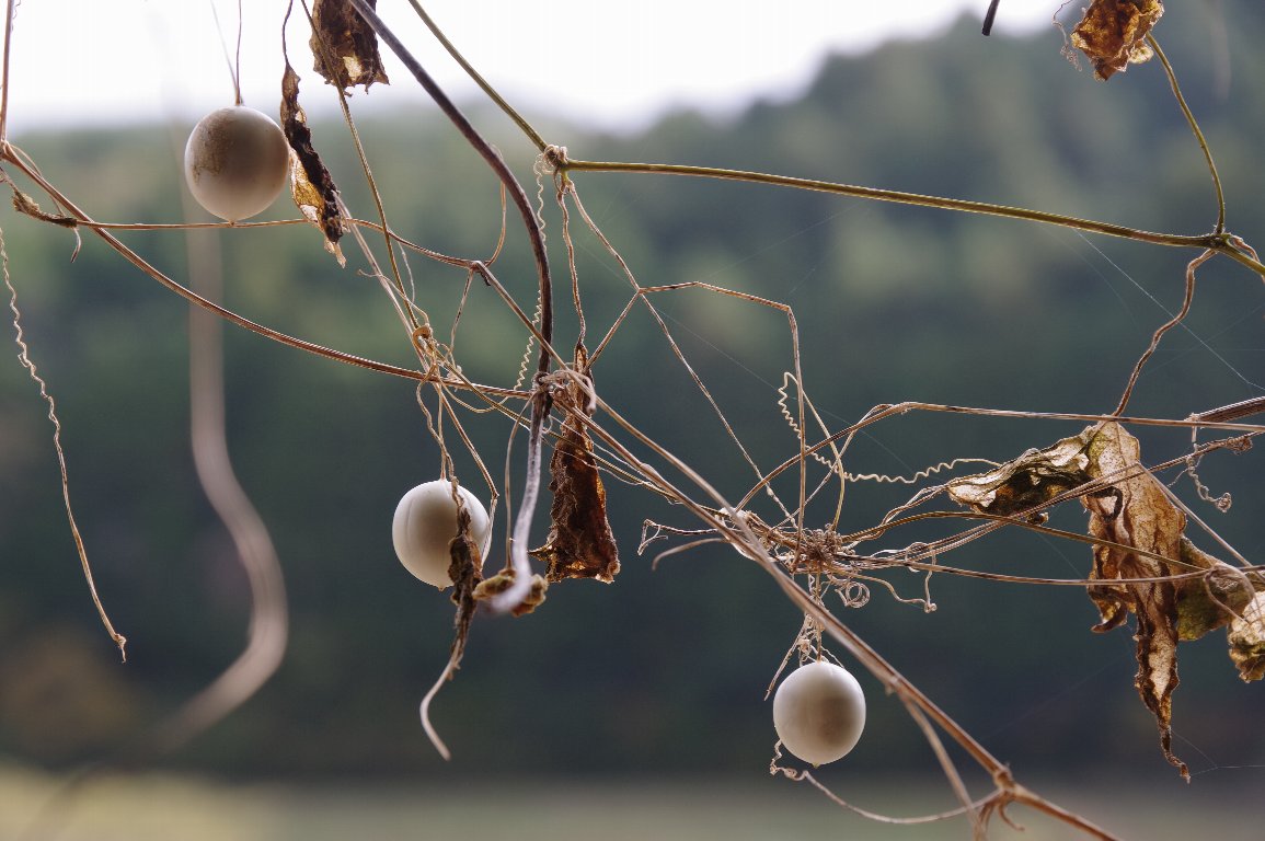 �X�Y���E��