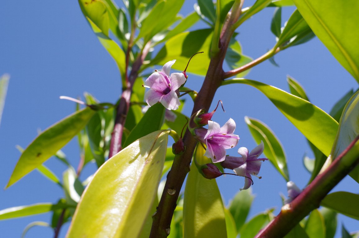 �n�}�W���`���E