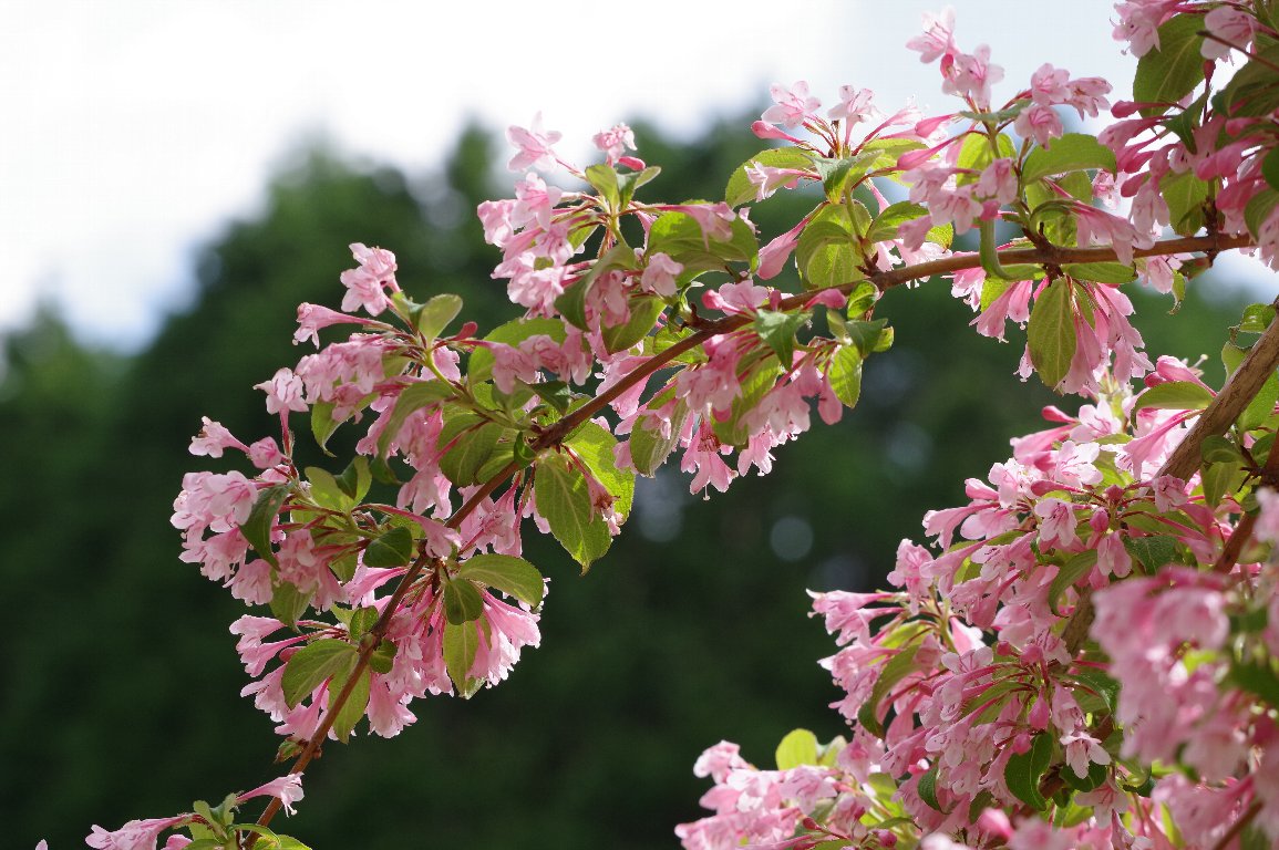 �^�j�E�c�M