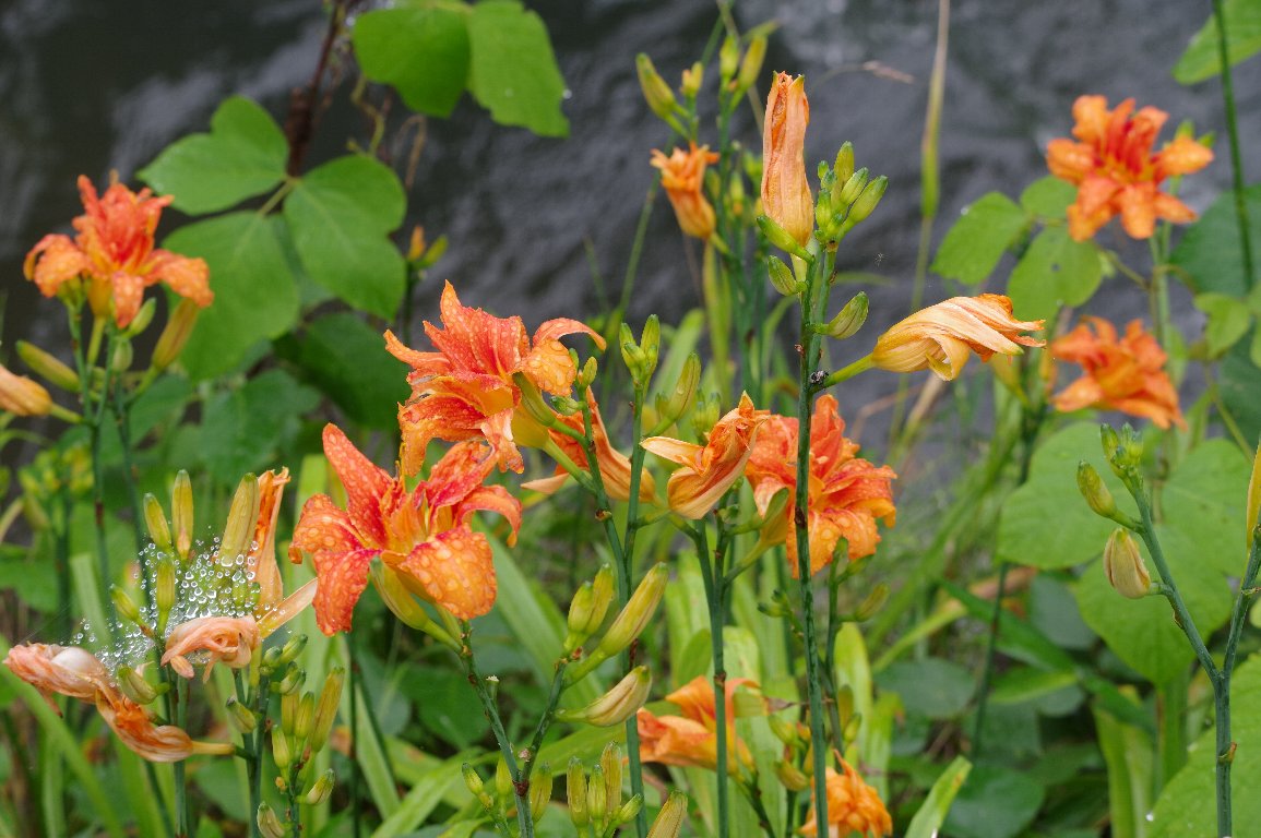 ���u�J���]�E