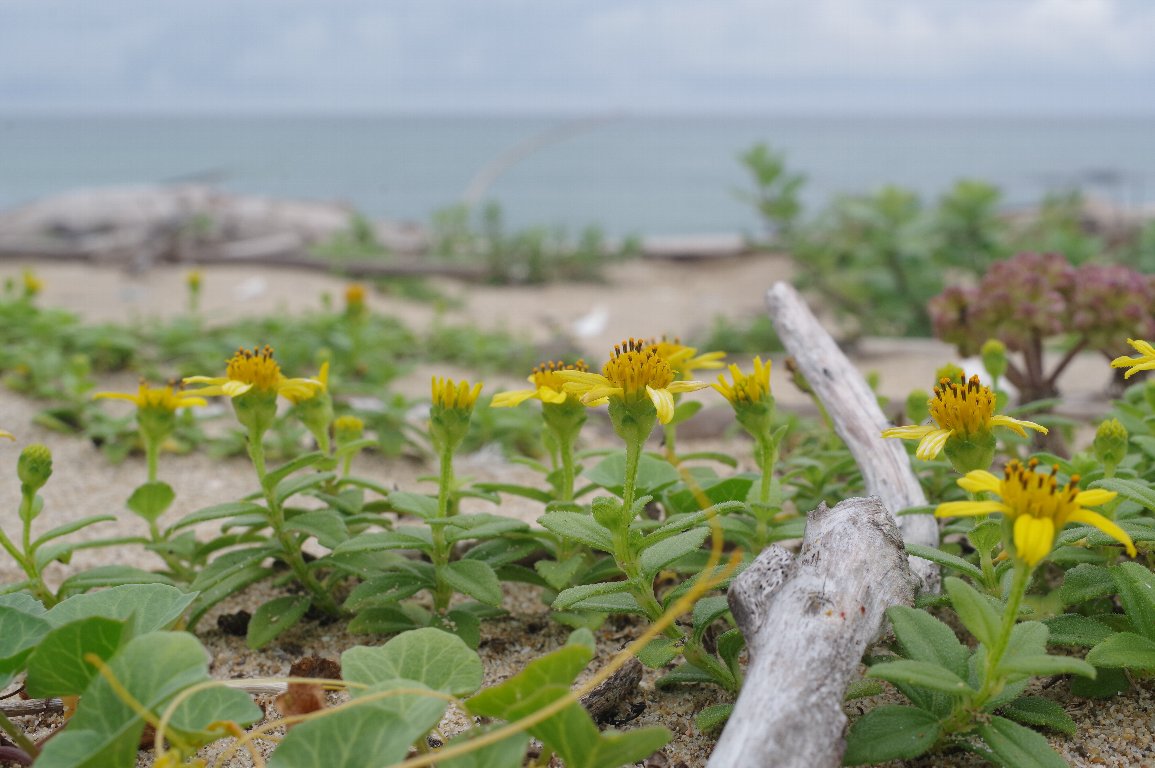 �l�R�m�V�^