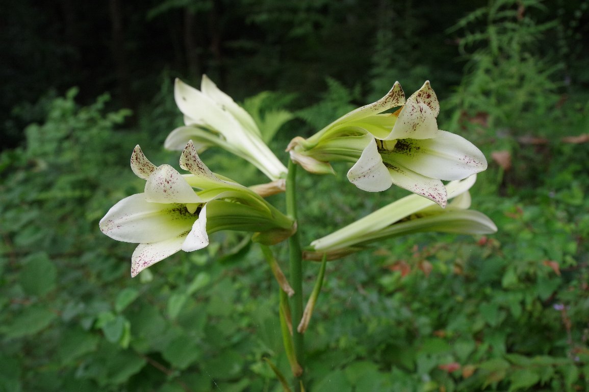 �E�o����