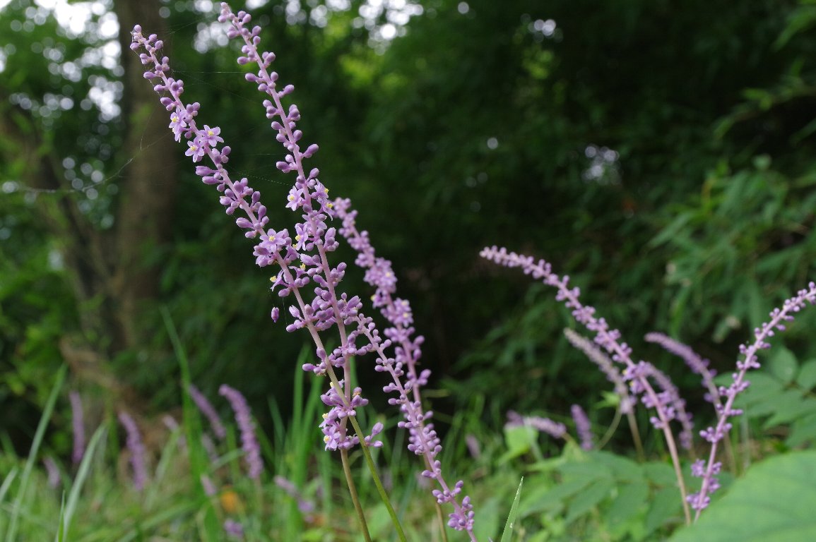 ���u����