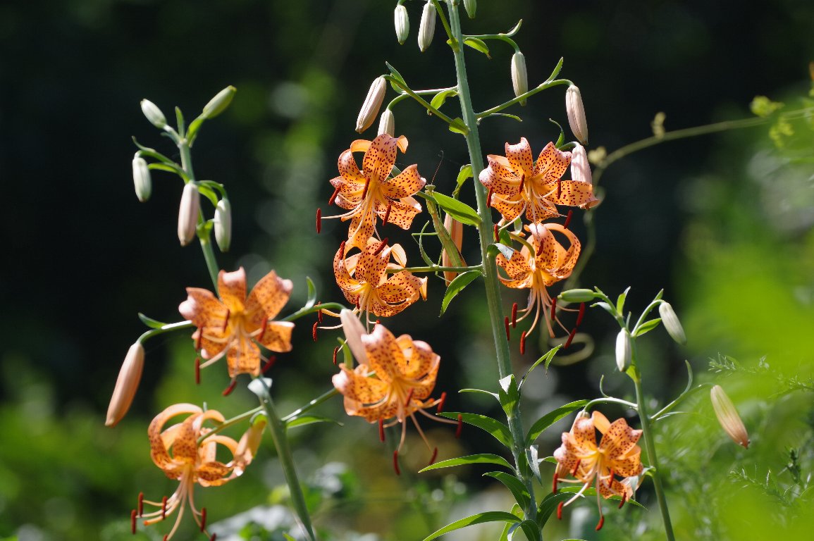 �R�I�j����