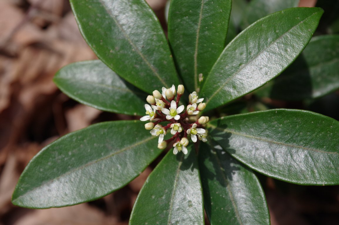 �~���}�V�L�~