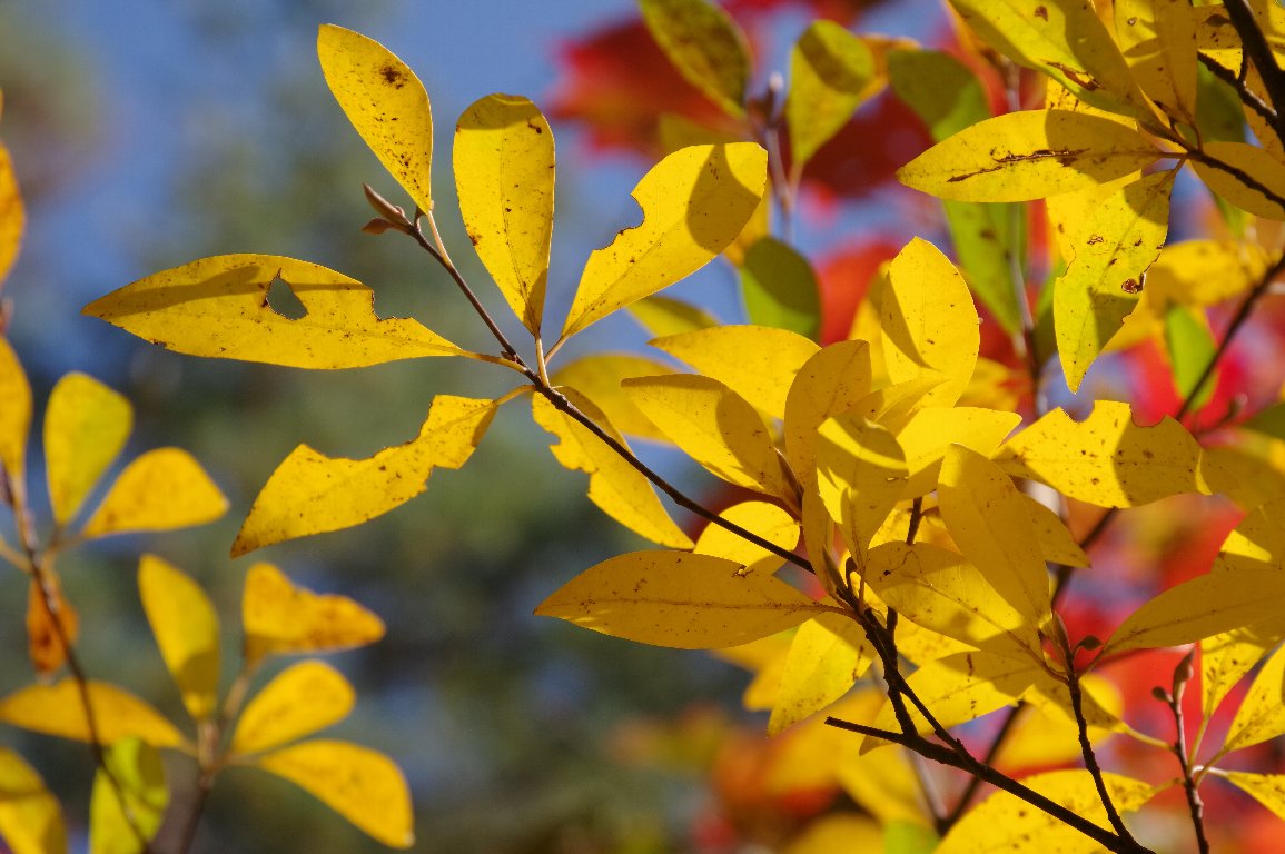 �N�����W