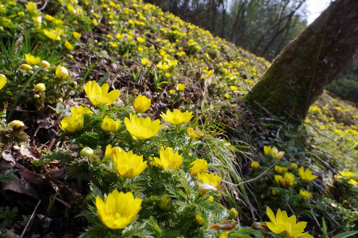 �~�`�m�N�t�N�W���\�E