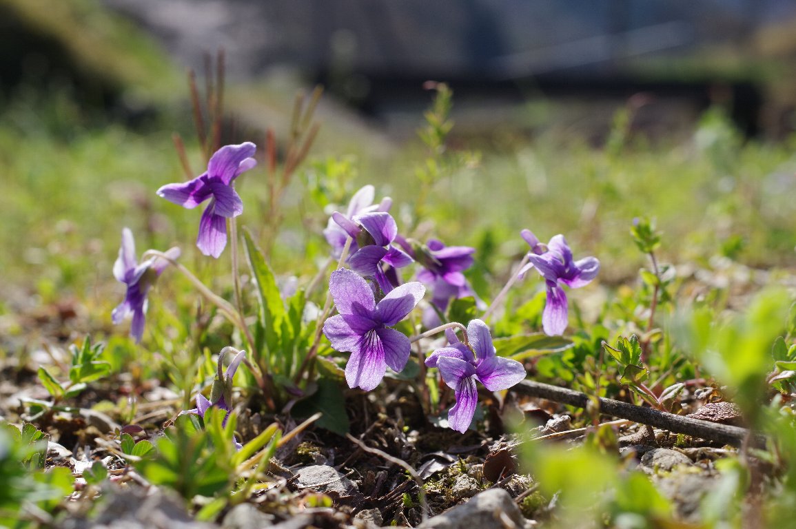 �m�W�X�~��