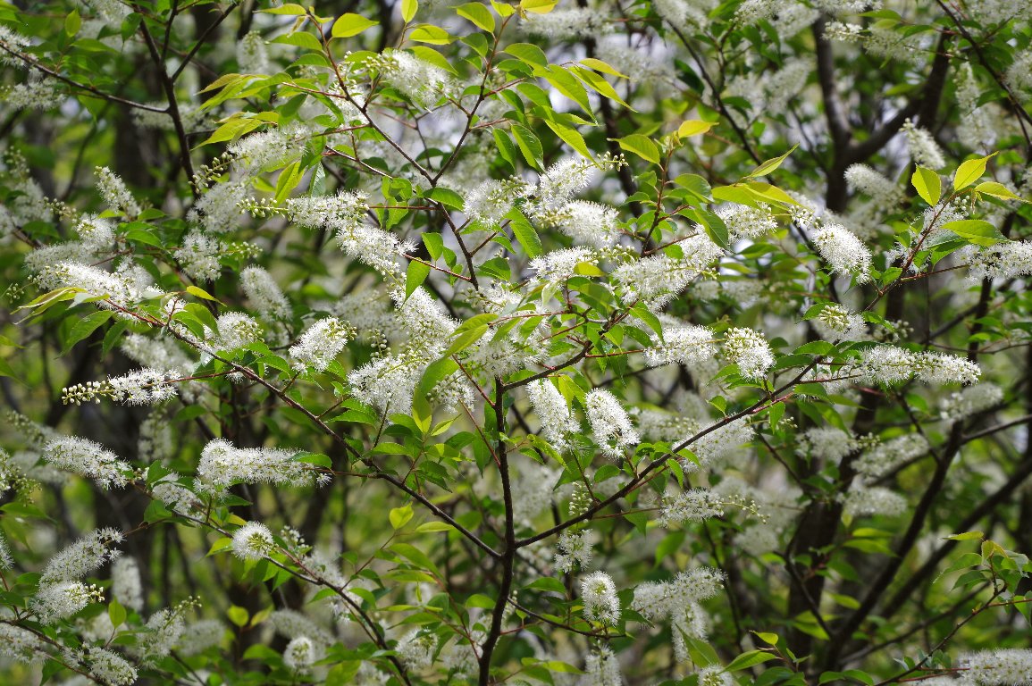 �E���~�Y�U�N��