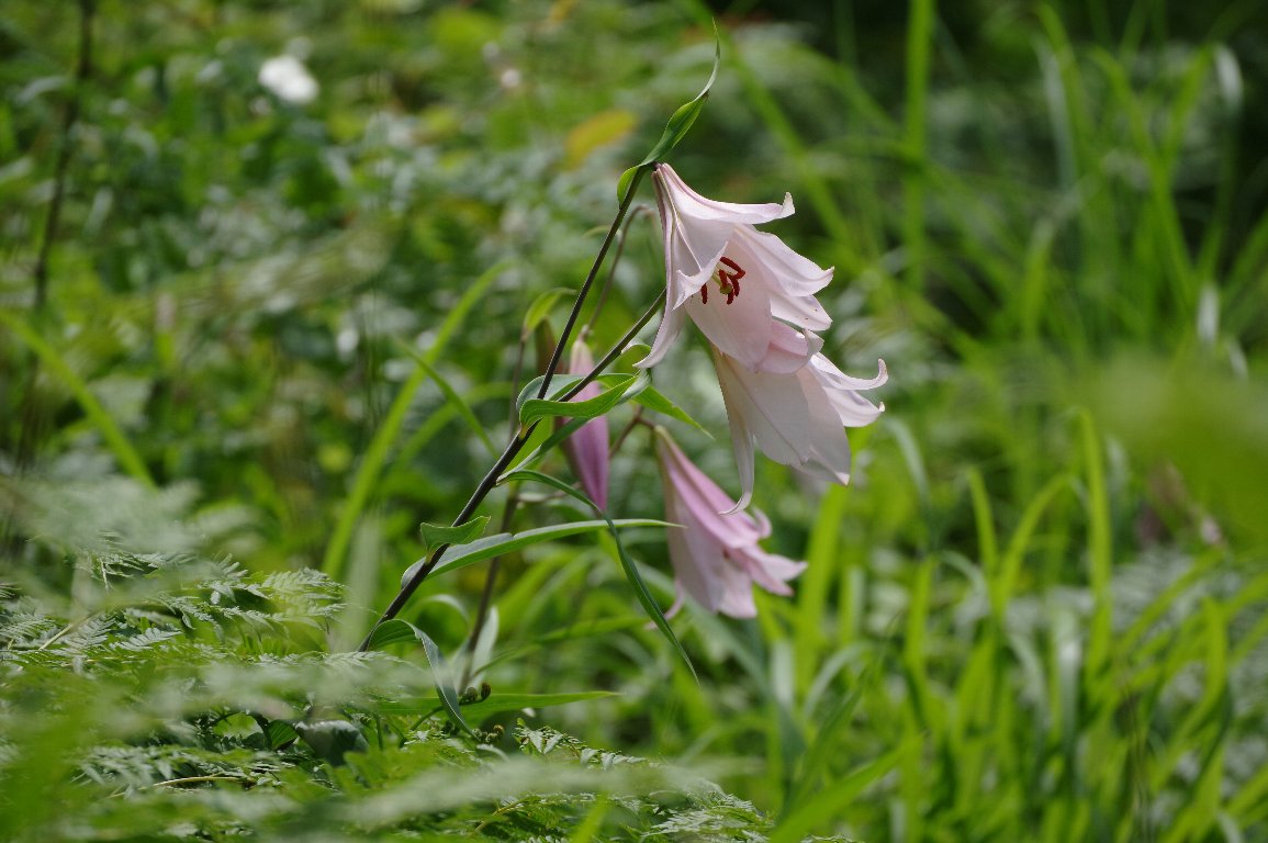 �T�T����