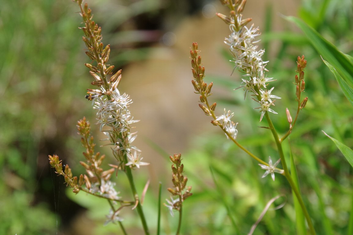 �m�M����