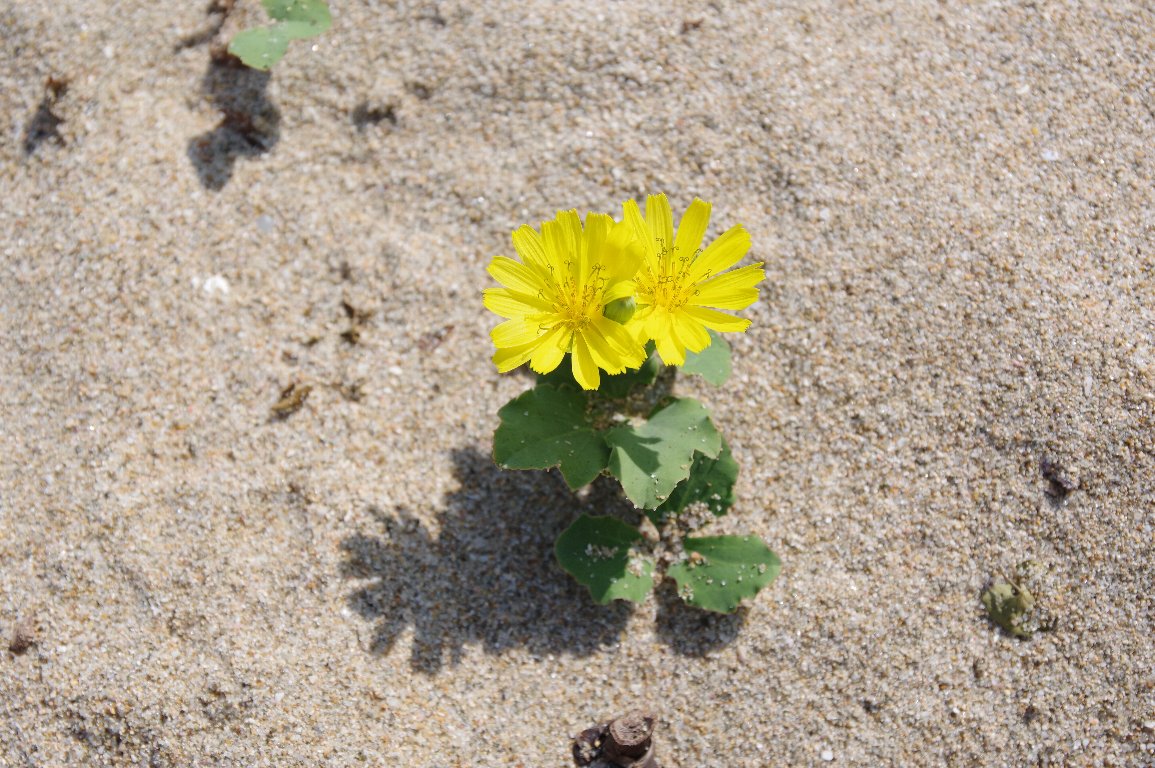 �n�}�j�K�i