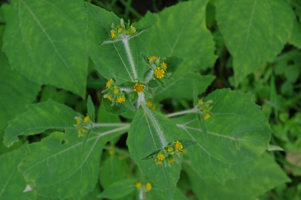 ���i���~