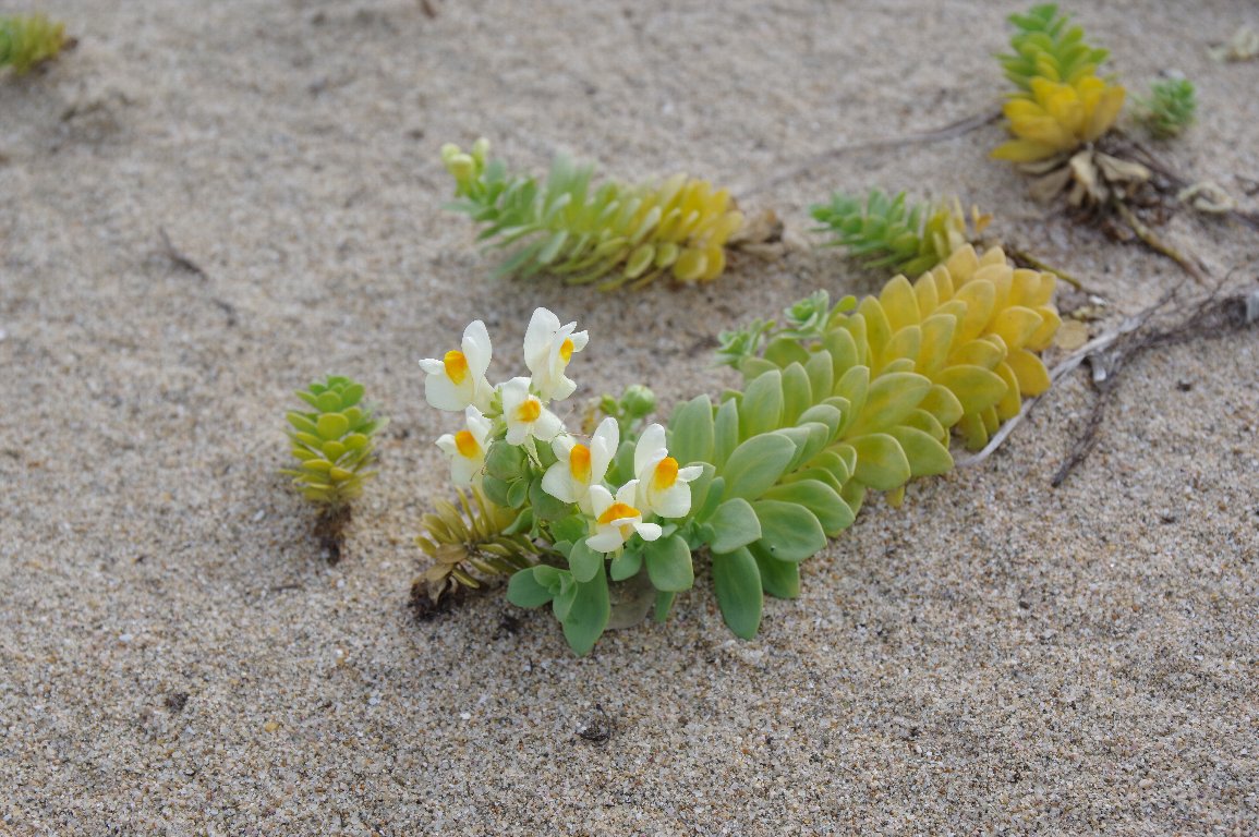 �E������