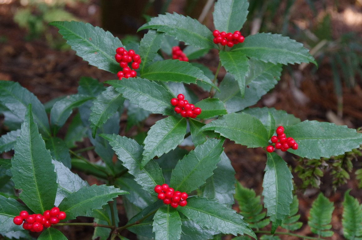 �Z�������E