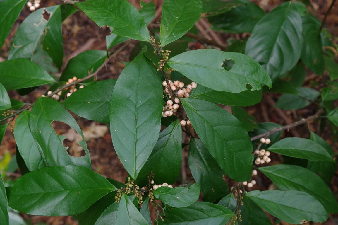 �C�Y�Z�������E