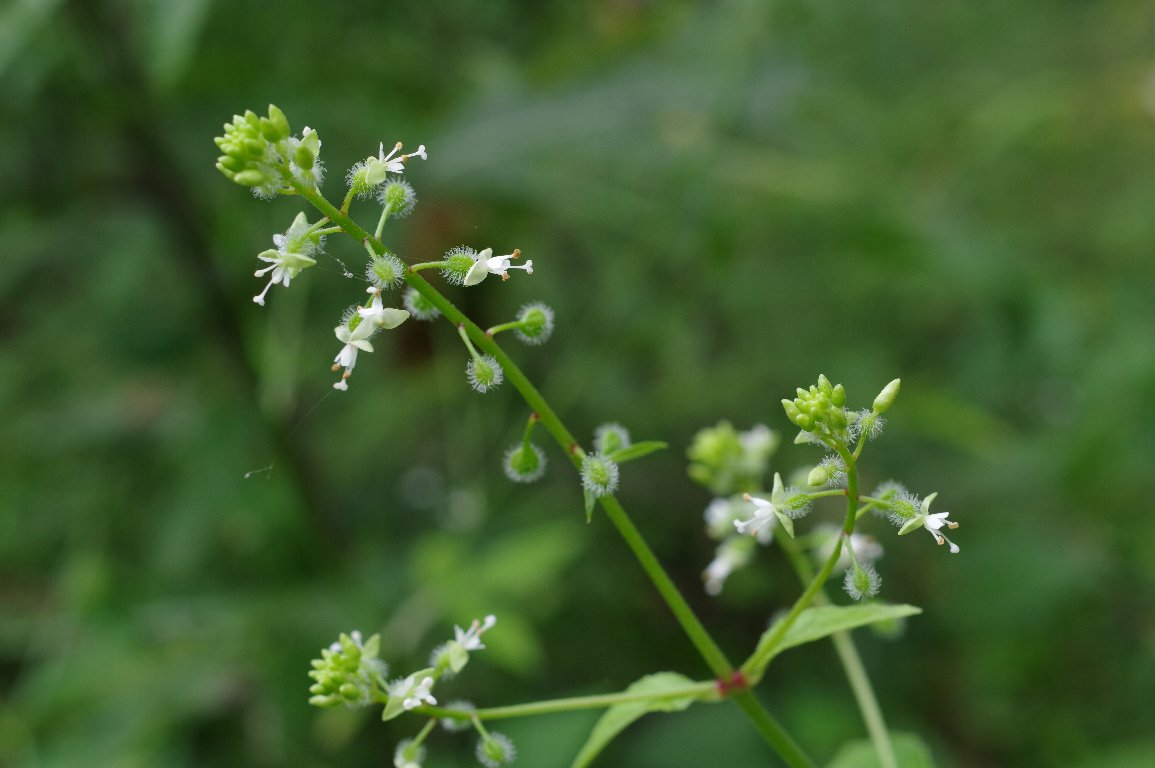 �~�Y�^�}�\�E