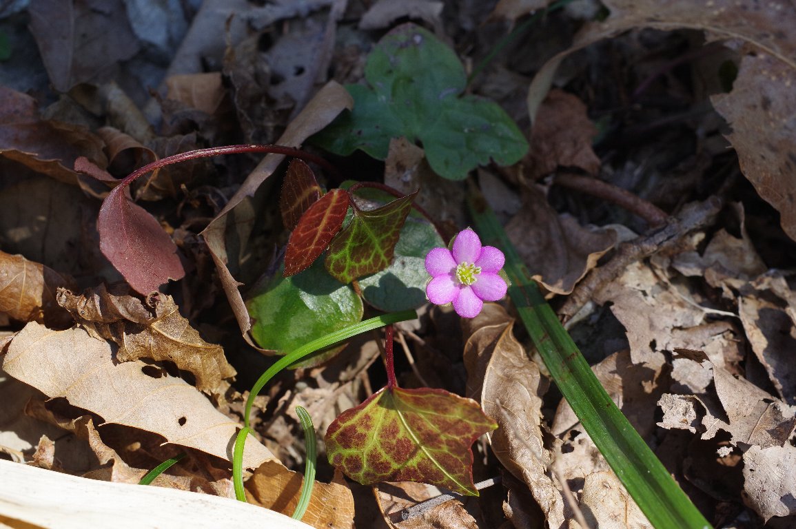 �~�X�~�\�E