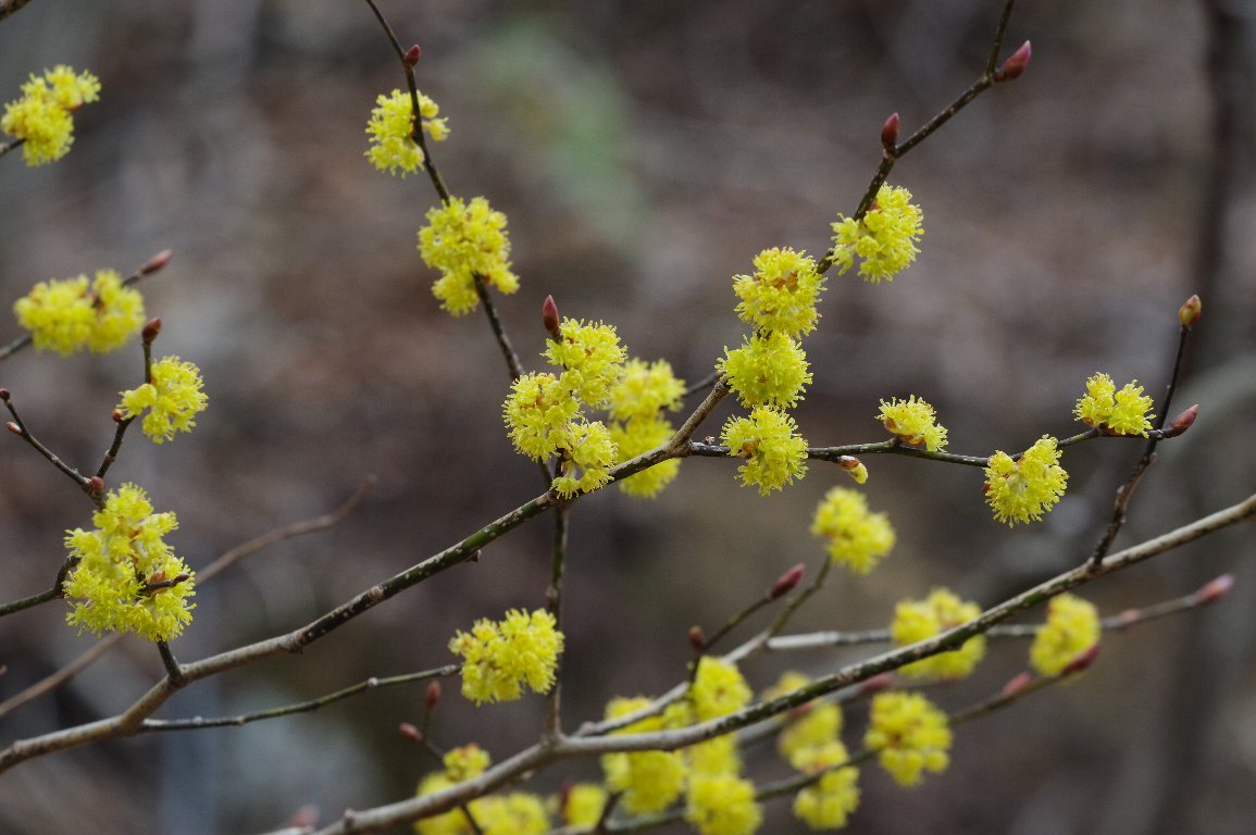 �_���R�E�o�C