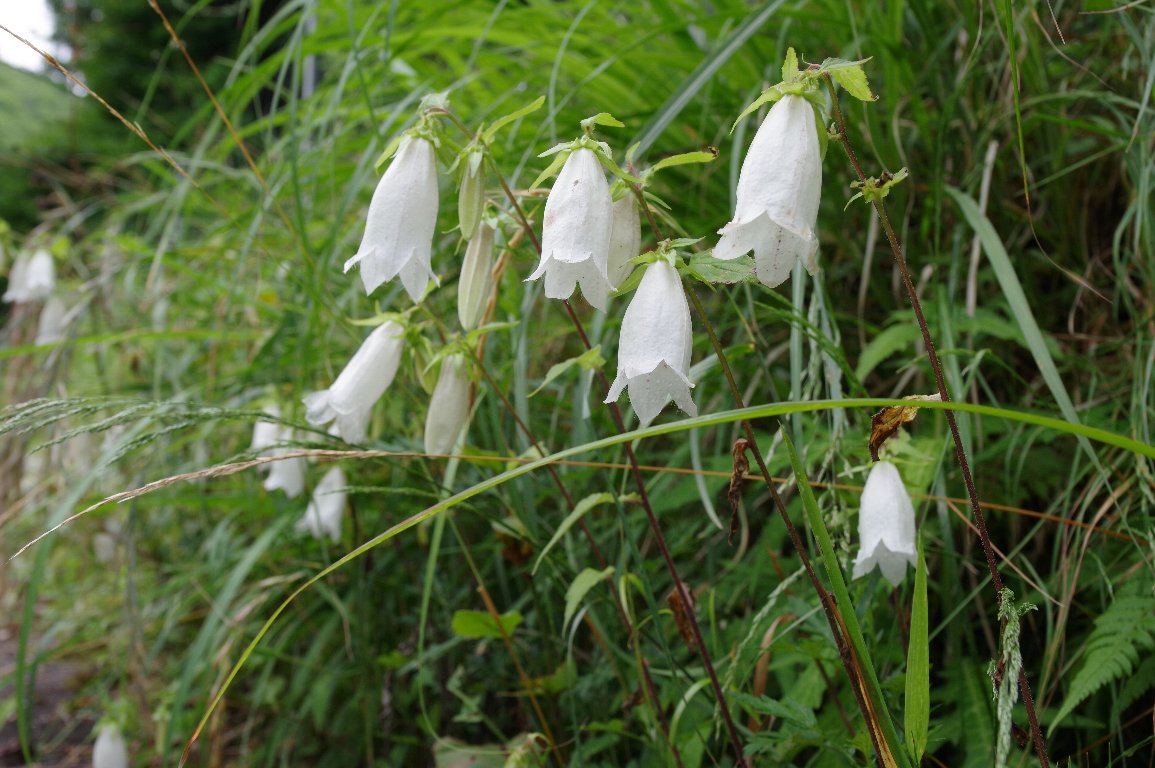 �z�^���u�N��