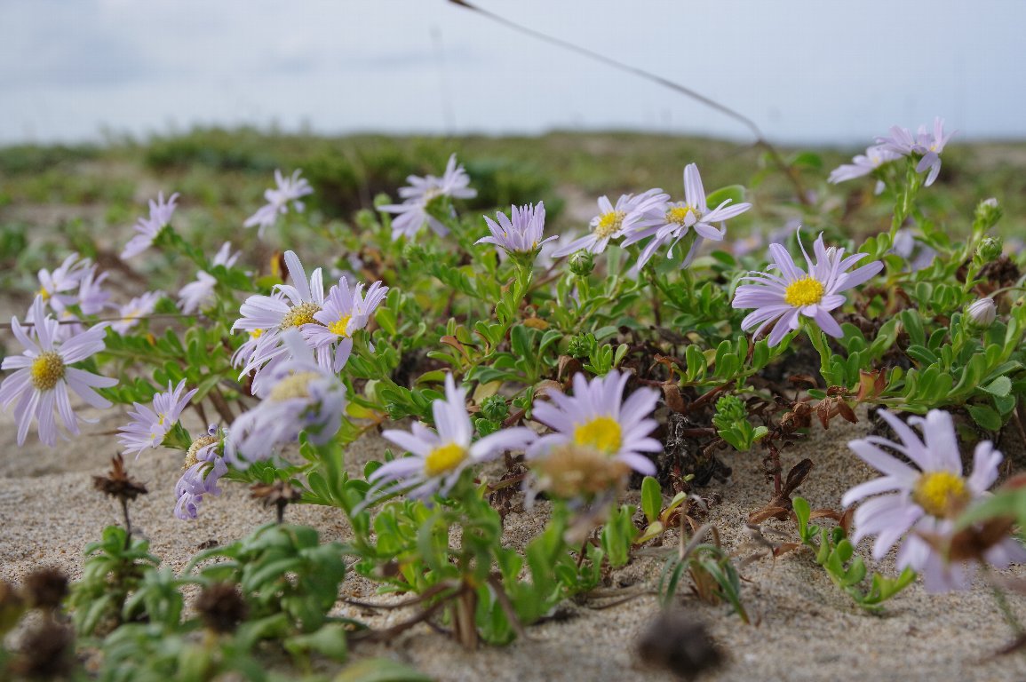 �n�}�x�m�M�N