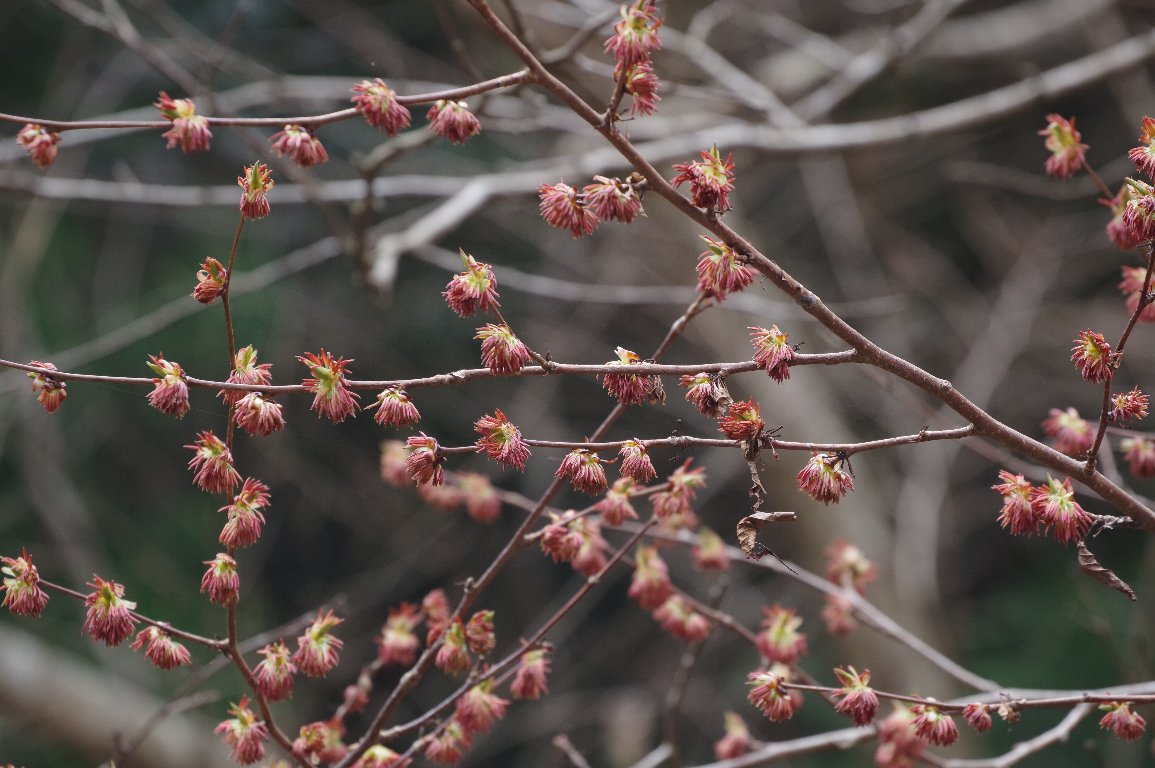 �t�T�U�N��