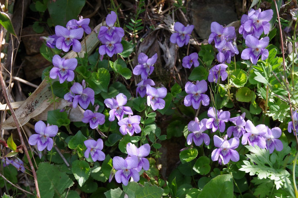 �^�`�c�{�X�~��