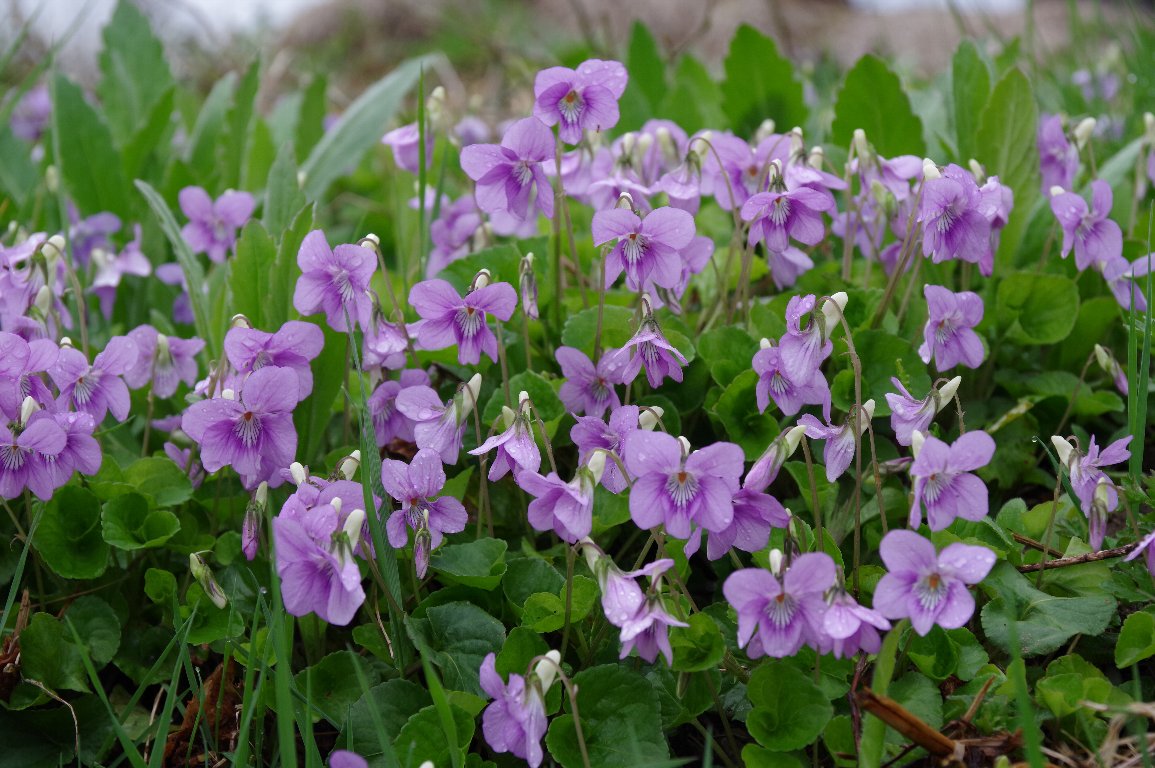 �I�I�^�`�c�{�X�~��