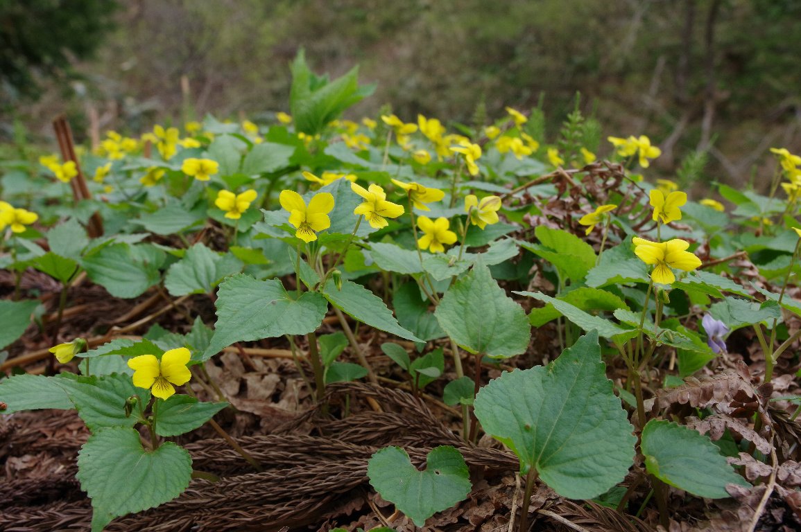 �I�I�o�L�X�~��