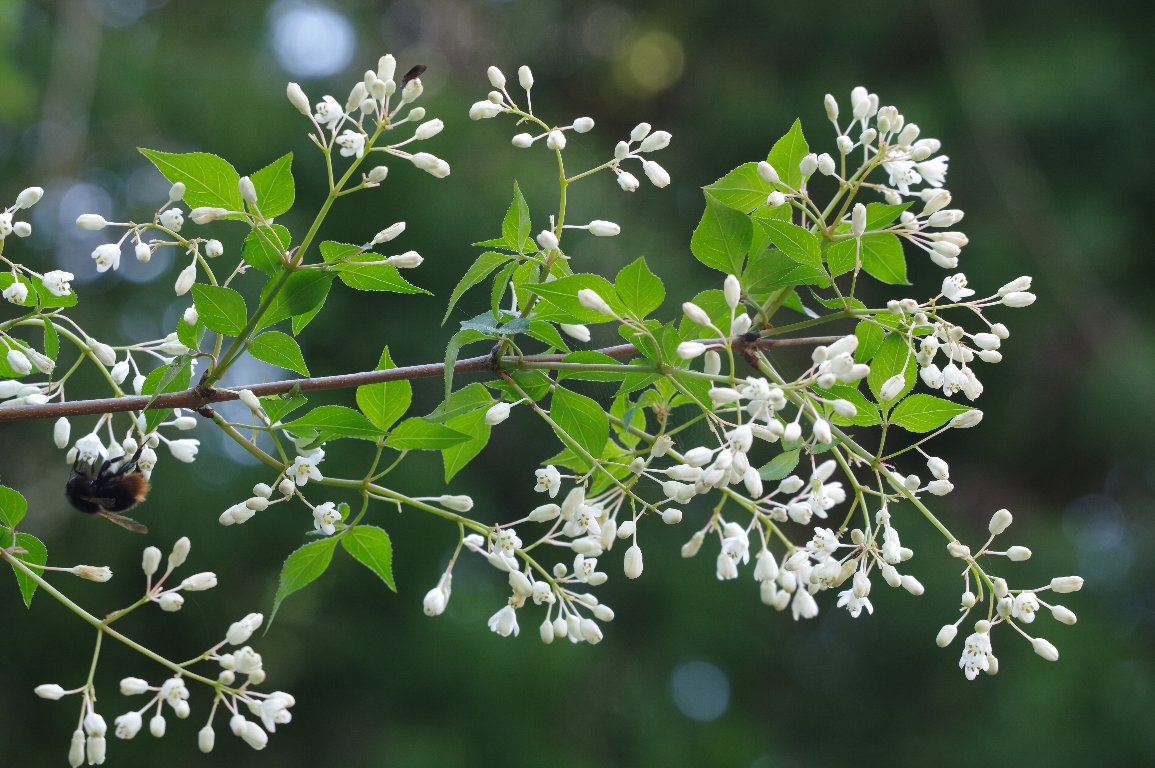 �~�c�o�E�c�M